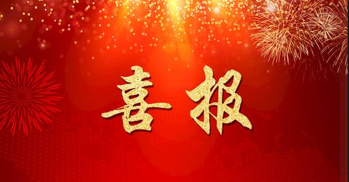 喜报|我司成功入选上海市专精特新中小企业